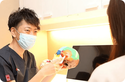 模型を使って説明